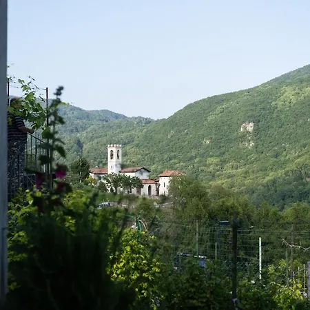 Genzianella *