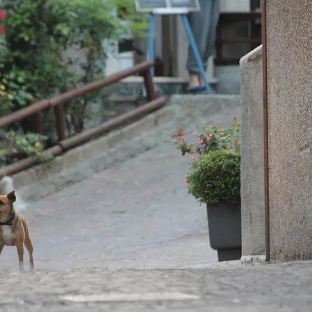 Genzianella فندق مبيت وإفطار 3*